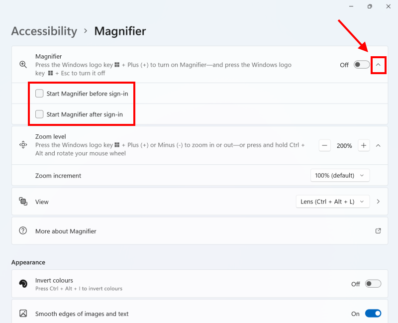 Click a Start Magnifier option to have the Magnifier launch when Windows starts